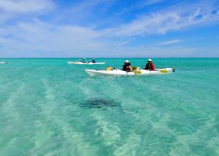 Kayaking on pristine waters at Ningaloo Reef