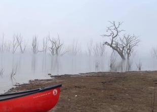On the lake misty morning